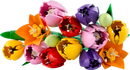 Lego Botanicals 11501 - Tulip Bouquet