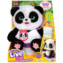Little Live Pets - My Baby Panda ChuChu