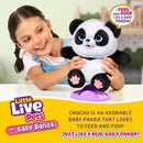 Little Live Pets - My Baby Panda ChuChu