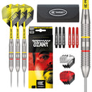 Target Gabriel Clemens 22 Piece Dart Set