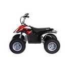 Razor 24v Dirt Quad (Black)