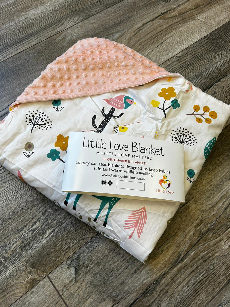 Little Love Blanket - 3 Point -