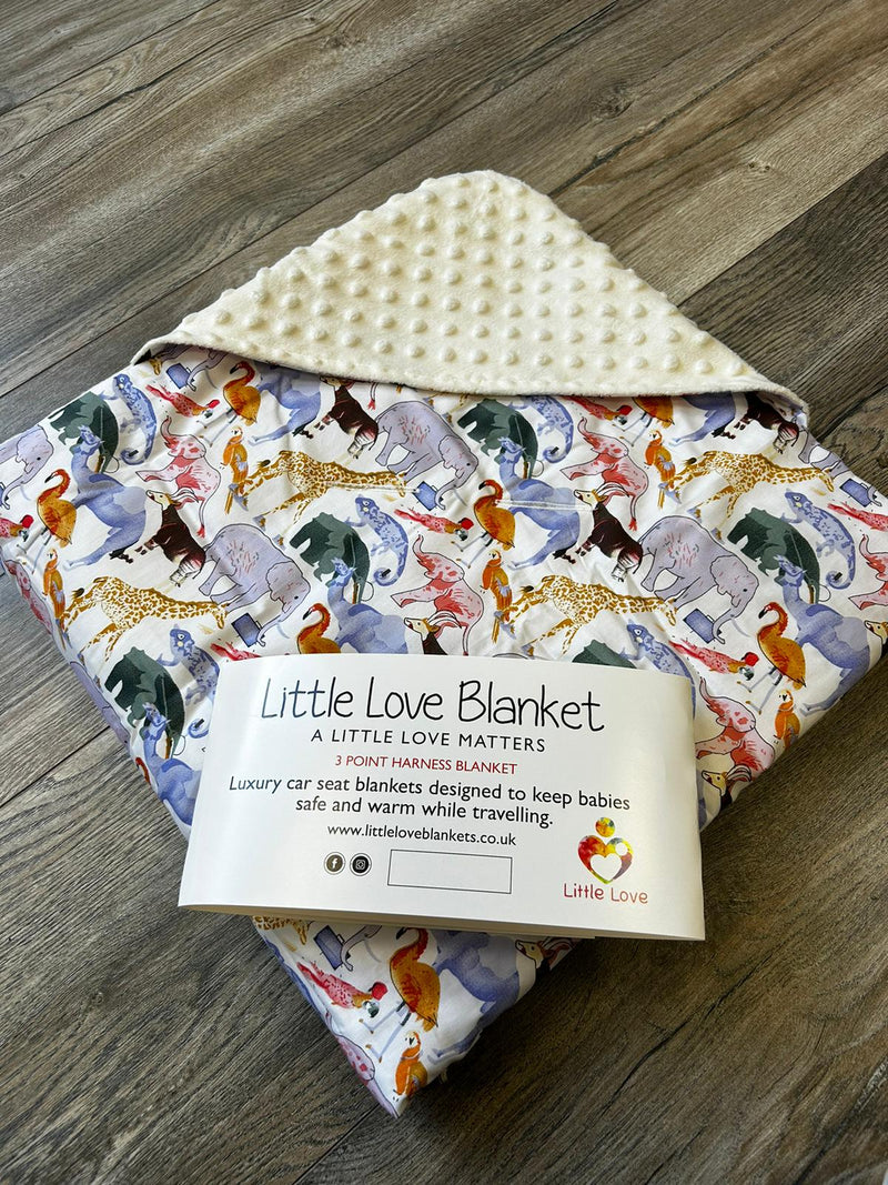 Little Love Blanket - 3 Point - Noah
