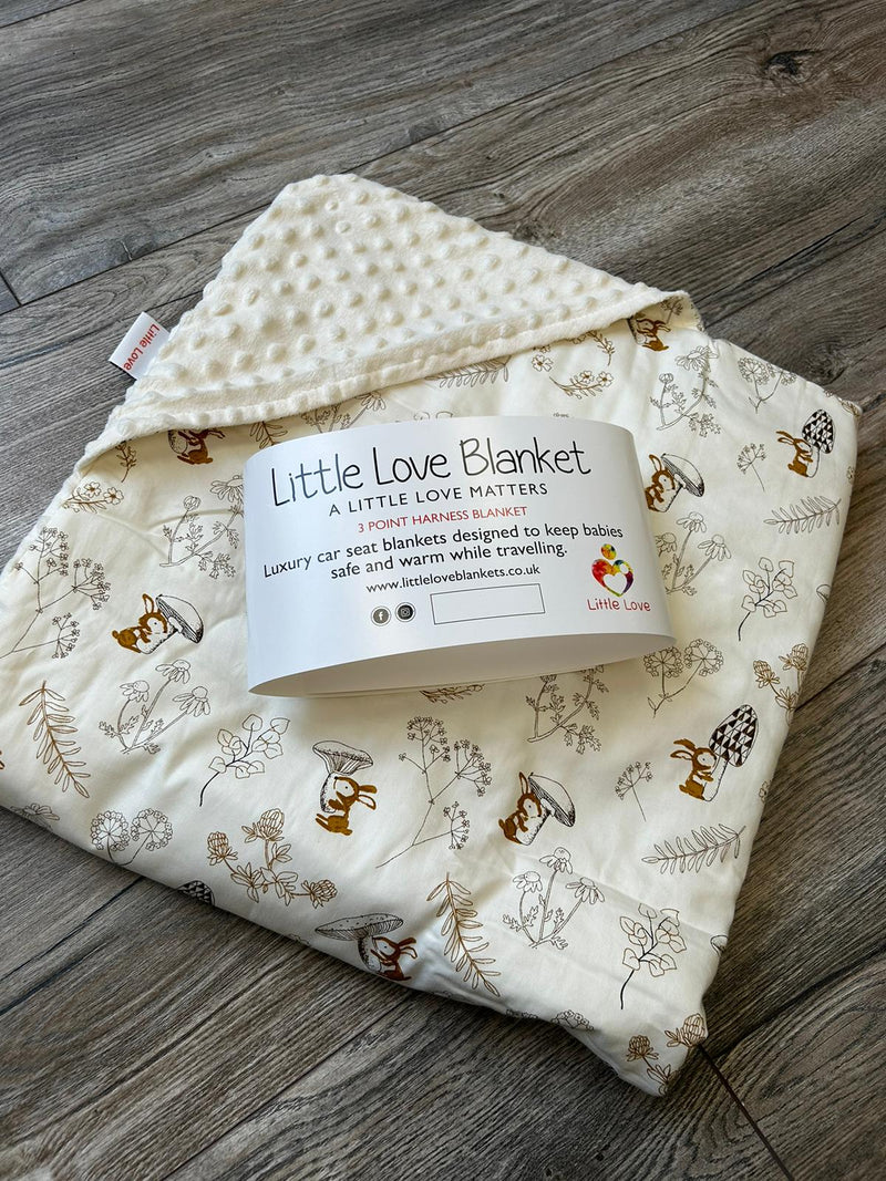 Little Love Blanket - 3 Point - Wee Bunny
