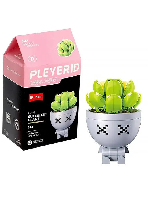 Sluban Pleyerid M38-B1076D Succulent Plant
