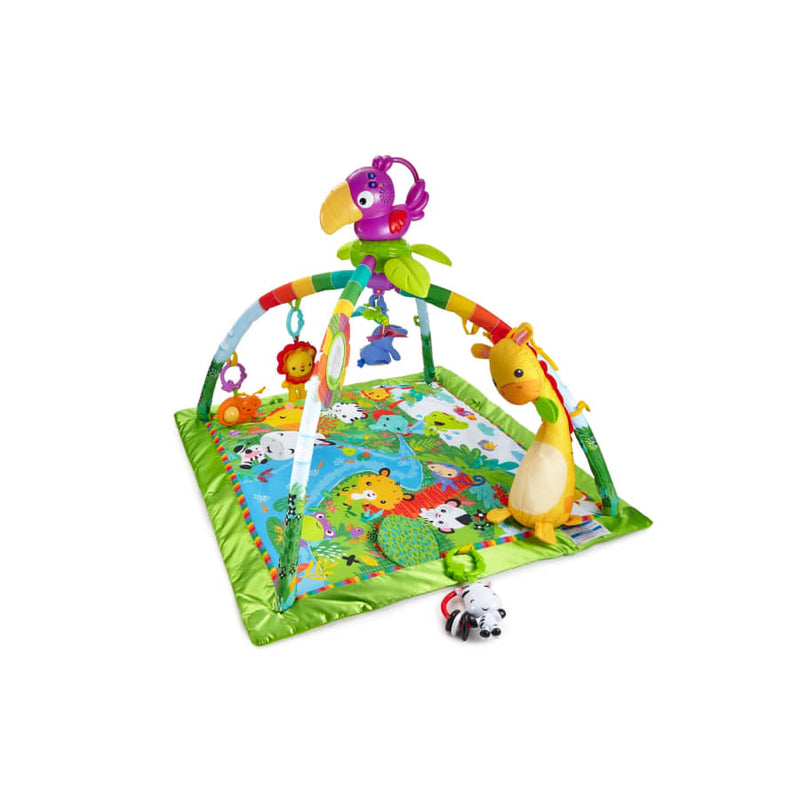 Fisher Price Lights and Sound Deluxe Gym